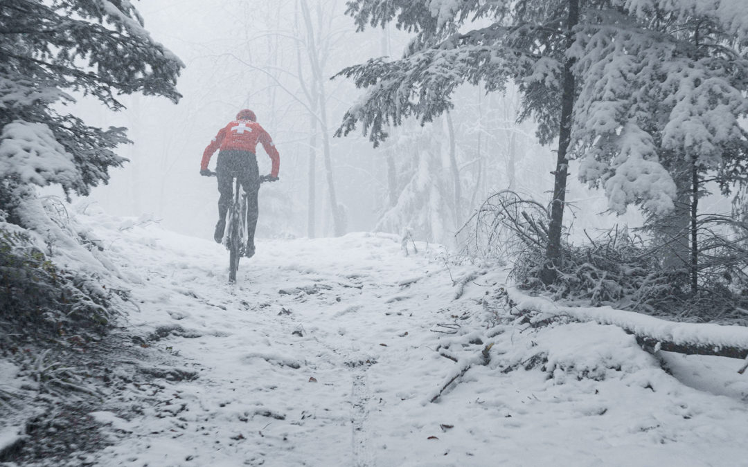 Thömus Lightrider E-Ultimate